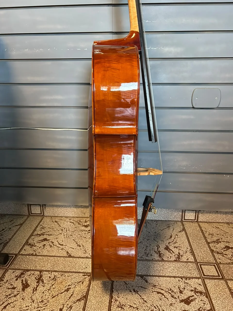 CELLO EAGLE CE 300 na Musicaltec