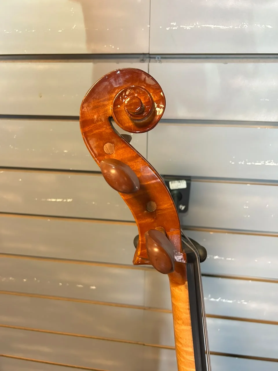 CELLO EAGLE CE 300 na Musicaltec